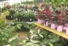 Dundowranplant-nursery-7.jpg; ?>